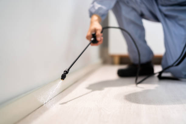 Licensed Mosquito Control service in Belleville, KS - Show Me Pest Control