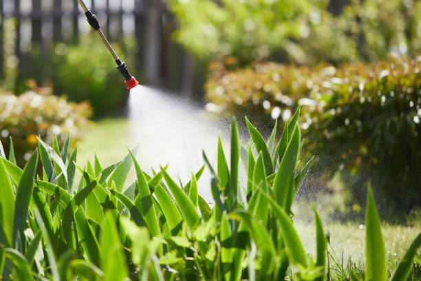 24/7 Emergency Mosquito Control experts in Belleville, KS