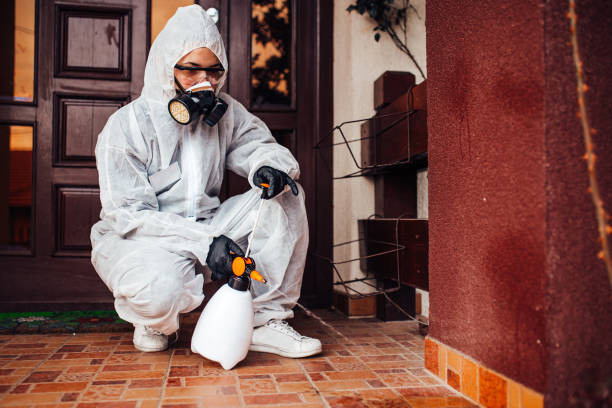 Reliable Mosquito Control contractor in Belleville, KS by Show Me Pest Control